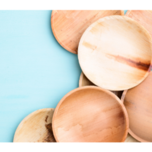 Palm leaf 6 Inch Round Plate (600 Pack) Buy By Box