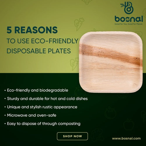 Palm Leaf Biodegradable Plates; 7 inch, Square