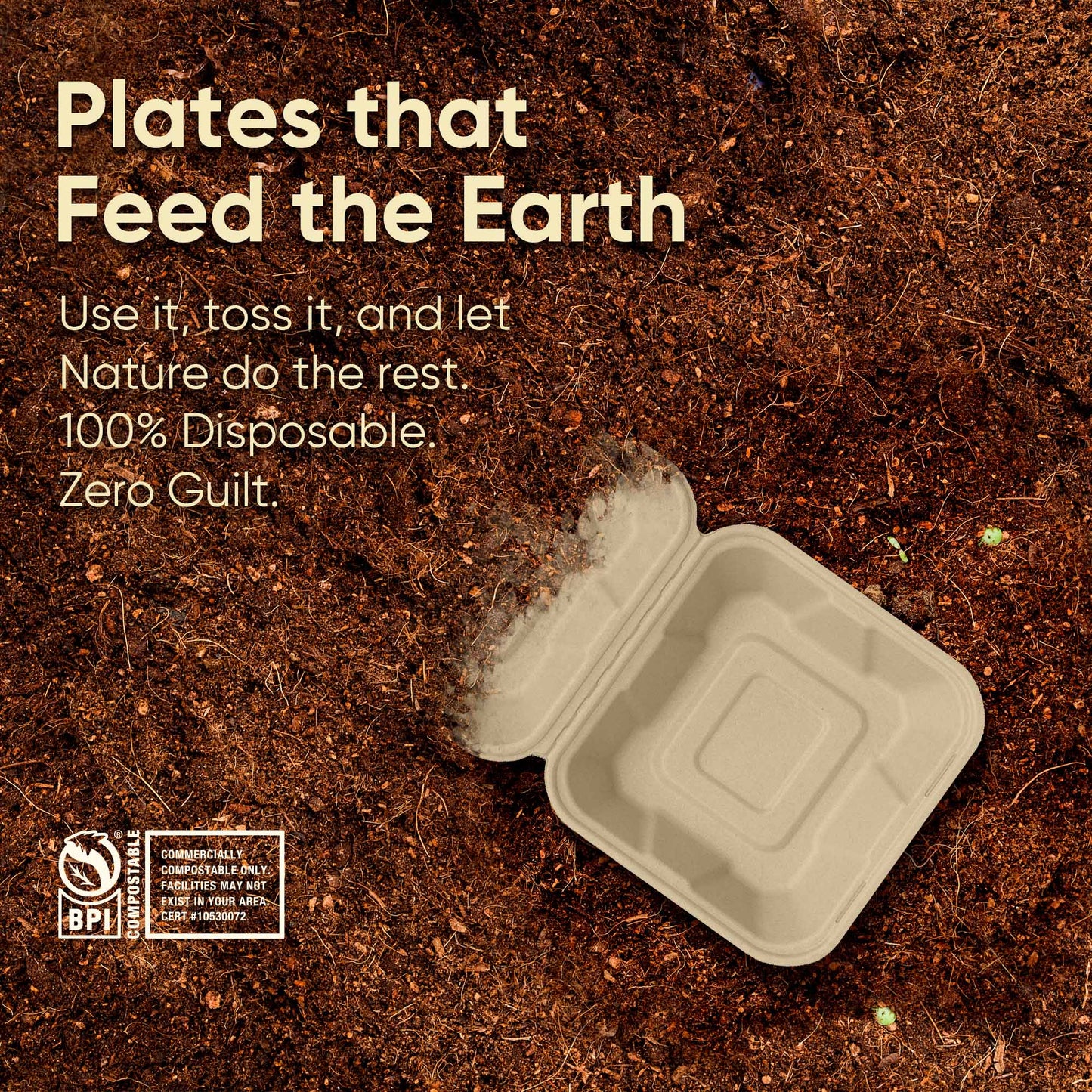 6 " Sugarcane Bagasse Compostable Square Clamshell Containers - Case of 20 (500 Pcs)