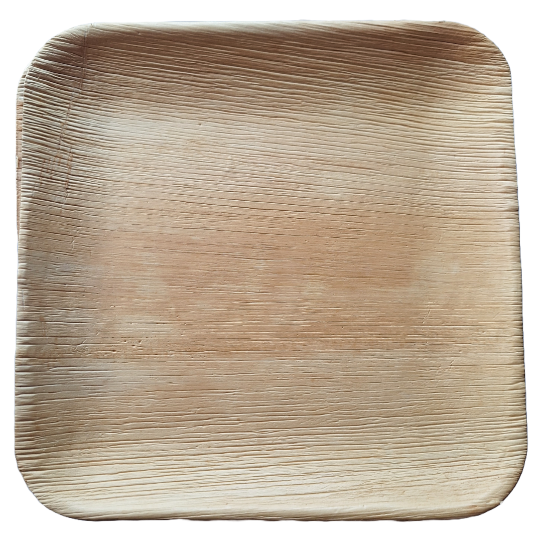 Natural Palm Leaf 9 Inch Square Palm Leaf Plate (25 Pack)