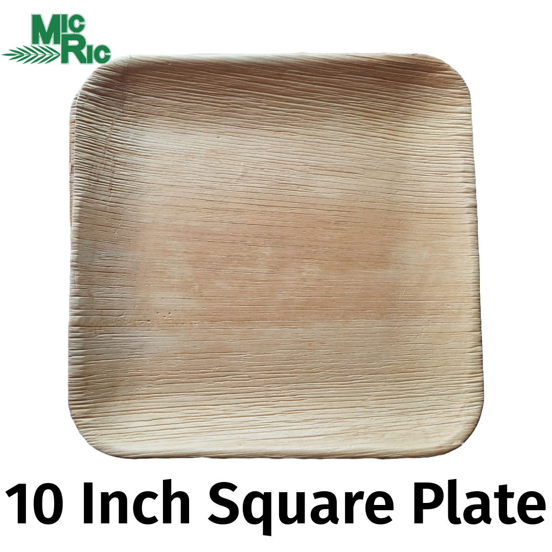 Palm Leaf 10" Square Plate (250 each Buy by Box Pack) $0.35 each