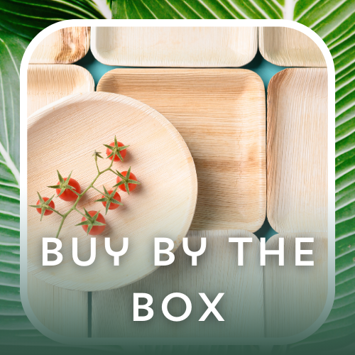Eco Friendly Dinerware