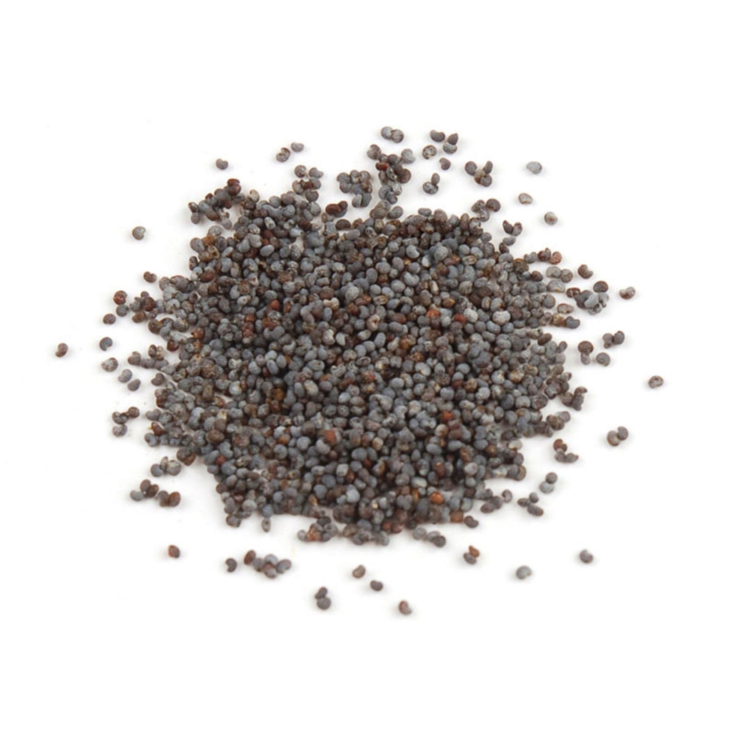 poppy seed-Poppy Seed-Specialty Food Source