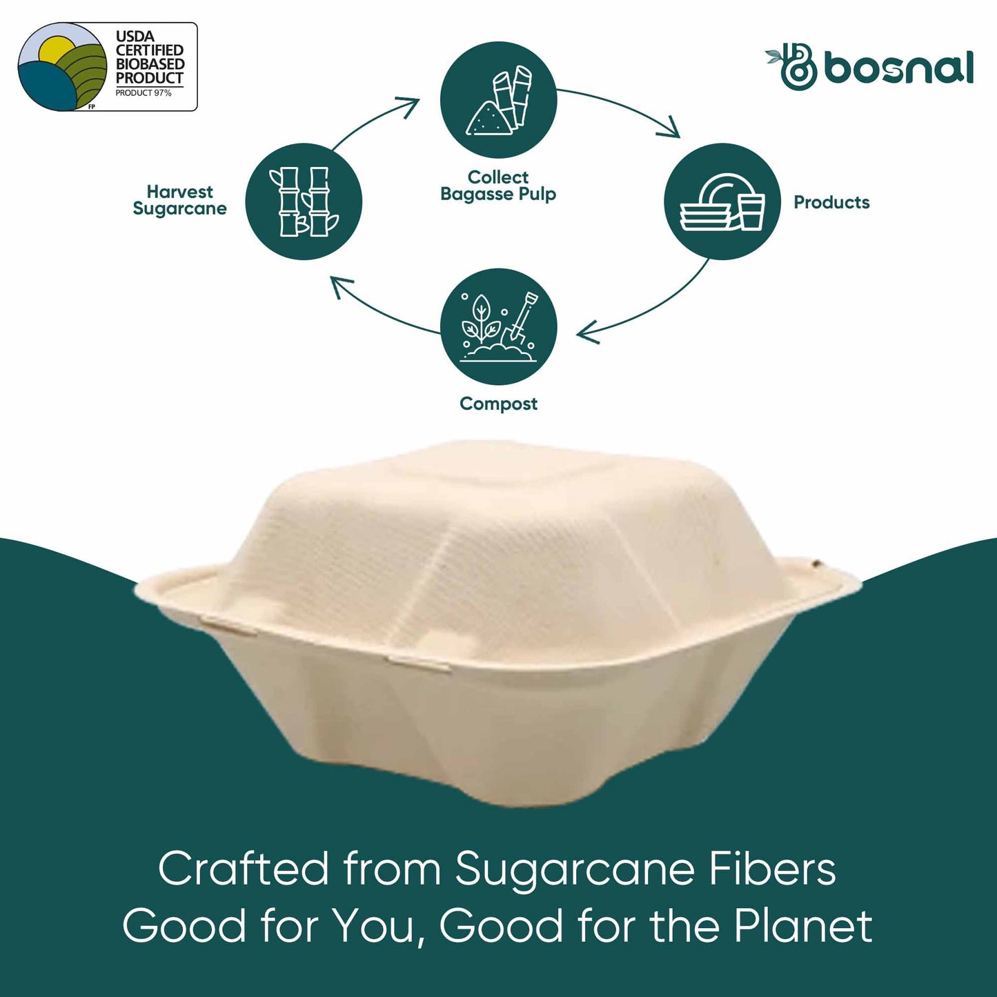 6 " Sugarcane Bagasse Compostable Square Clamshell Containers - Case of 20 (500 Pcs)