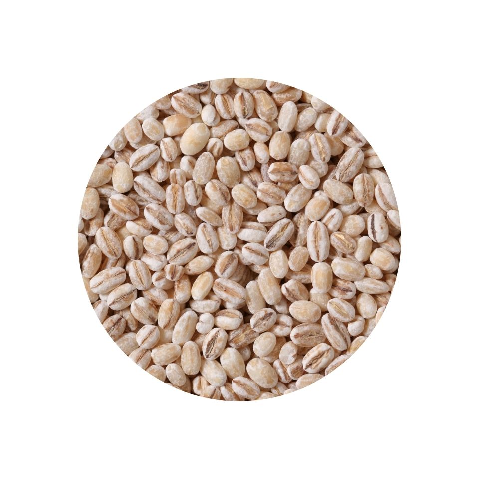 Pearled Barley